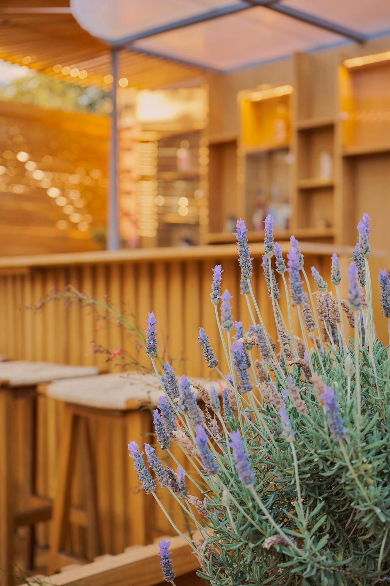 Hotel Materia 오아하카주 외부 사진